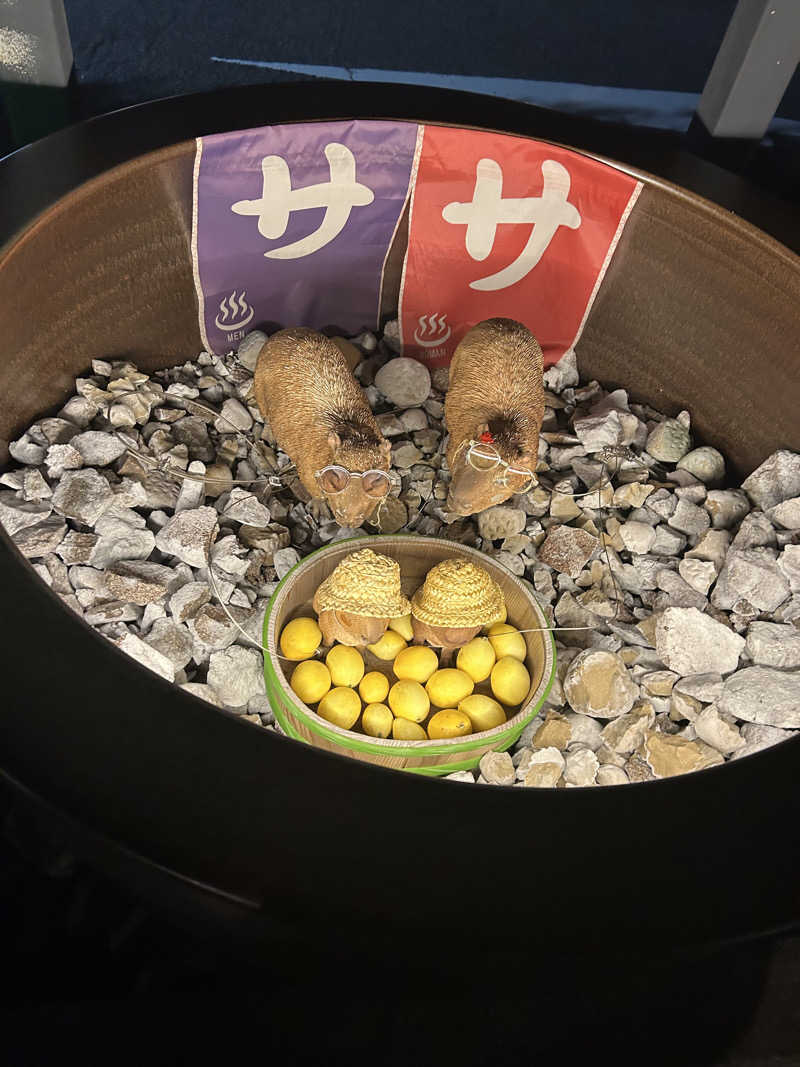 ミチョさんの富士山天然水SPA サウナ鷹の湯のサ活写真
