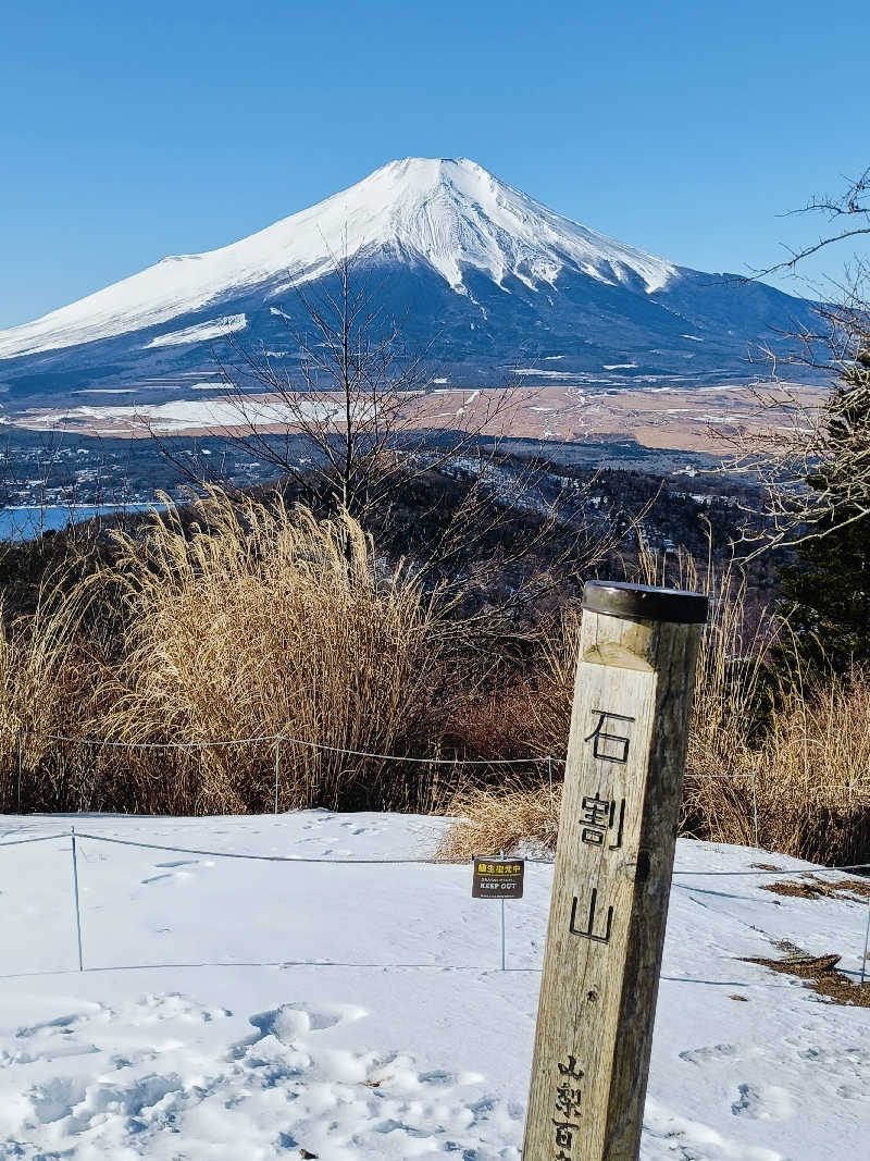 SWHさんの天然温泉 富士桜の湯 ドーミーインEXPRESS富士山御殿場のサ活写真