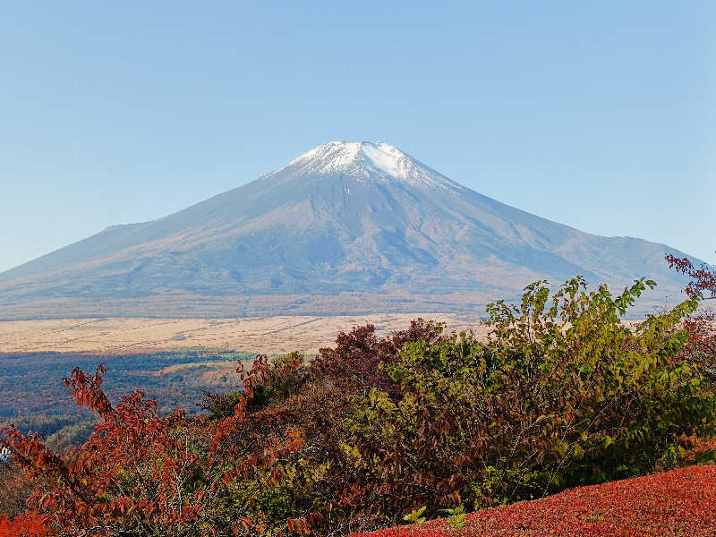 SWHさんのホテルマウント富士のサ活写真