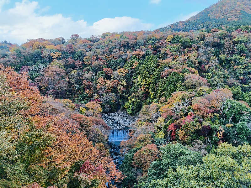 SWHさんのスパリゾート オアシス御殿場のサ活写真