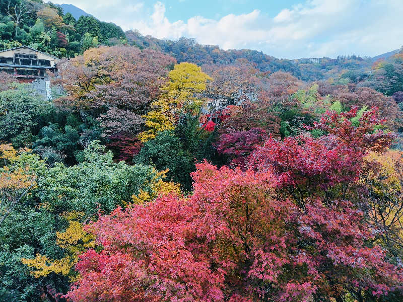 SWHさんのスパリゾート オアシス御殿場のサ活写真