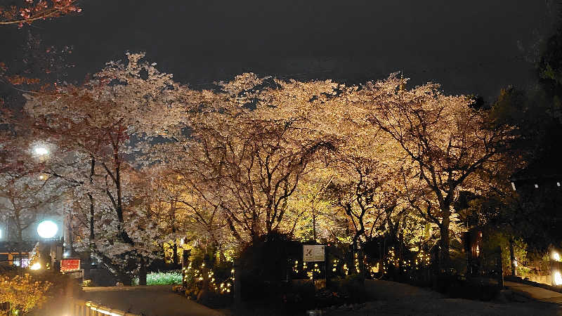 KAZU時々クマさんさんのよみうりランド眺望温泉 花景の湯のサ活写真