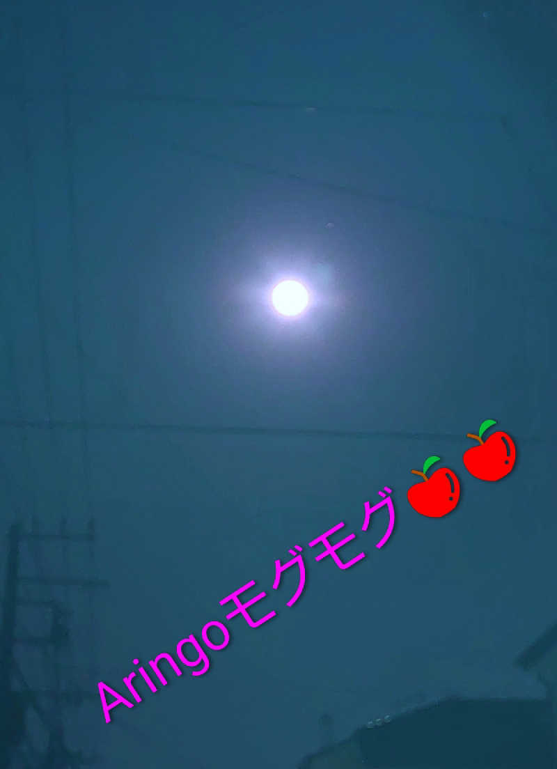 KAZU時々クマさんさんの山賊サウナのサ活写真