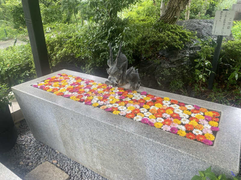 ともまるさんのよみうりランド眺望温泉 花景の湯のサ活写真