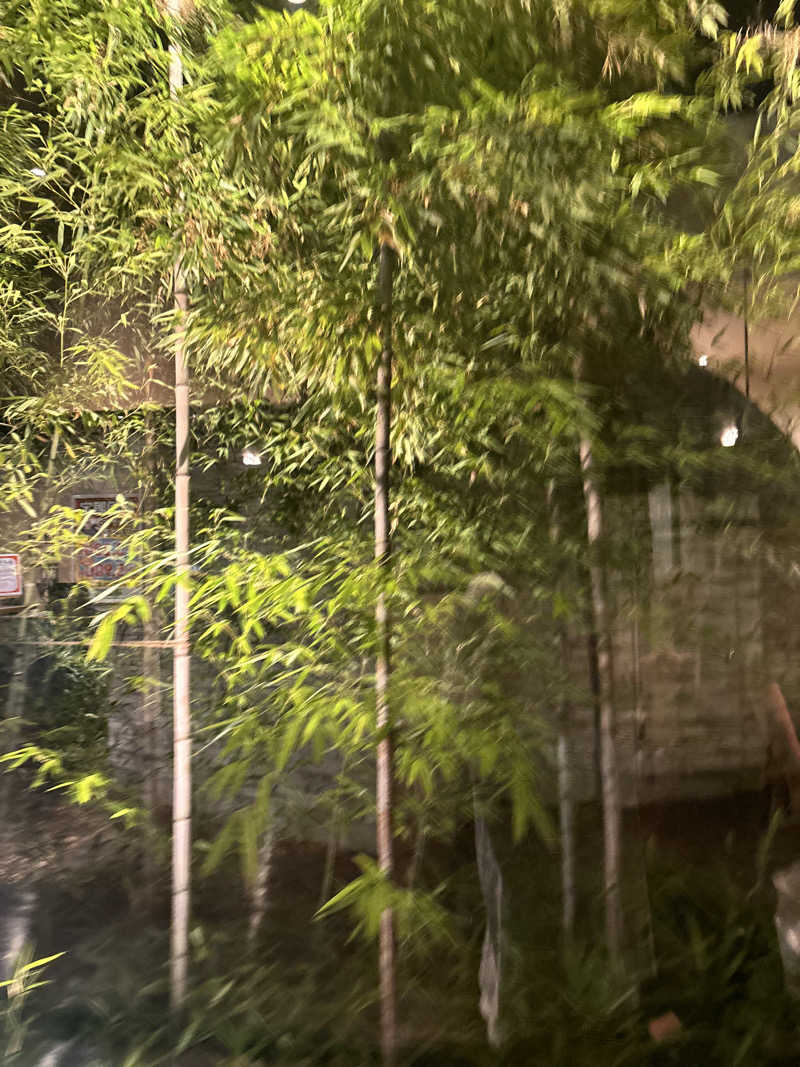 阿部🎶さんの神州温泉 あるごの湯のサ活写真