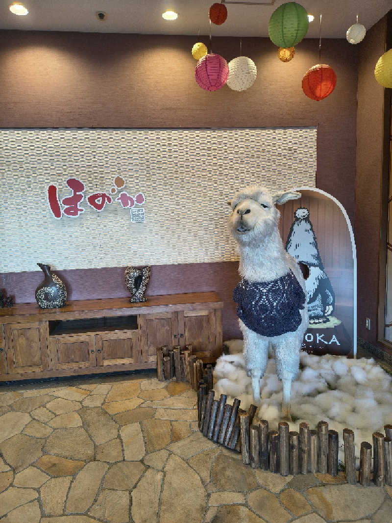 ごくうさんの湯の郷ほのか 蘇我店のサ活写真