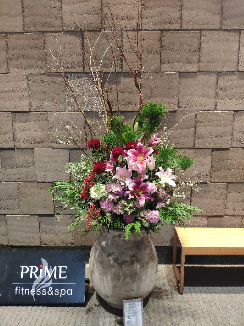 ぺちかんさんの綱島源泉 湯けむりの庄のサ活写真