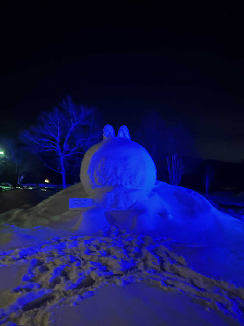 さやかさんのログホテル  ザ  メープルロッジのサ活写真