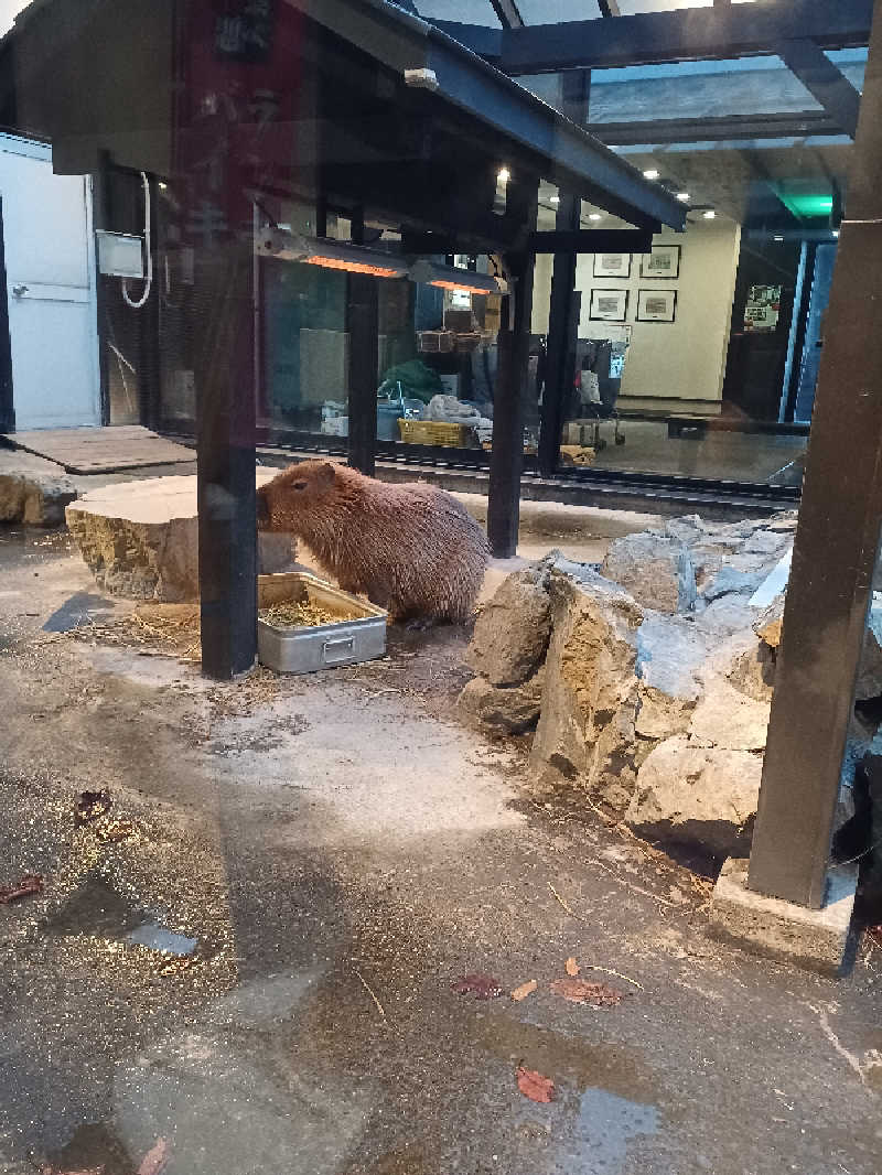 カモミールさんの石狩天然温泉 番屋の湯のサ活写真