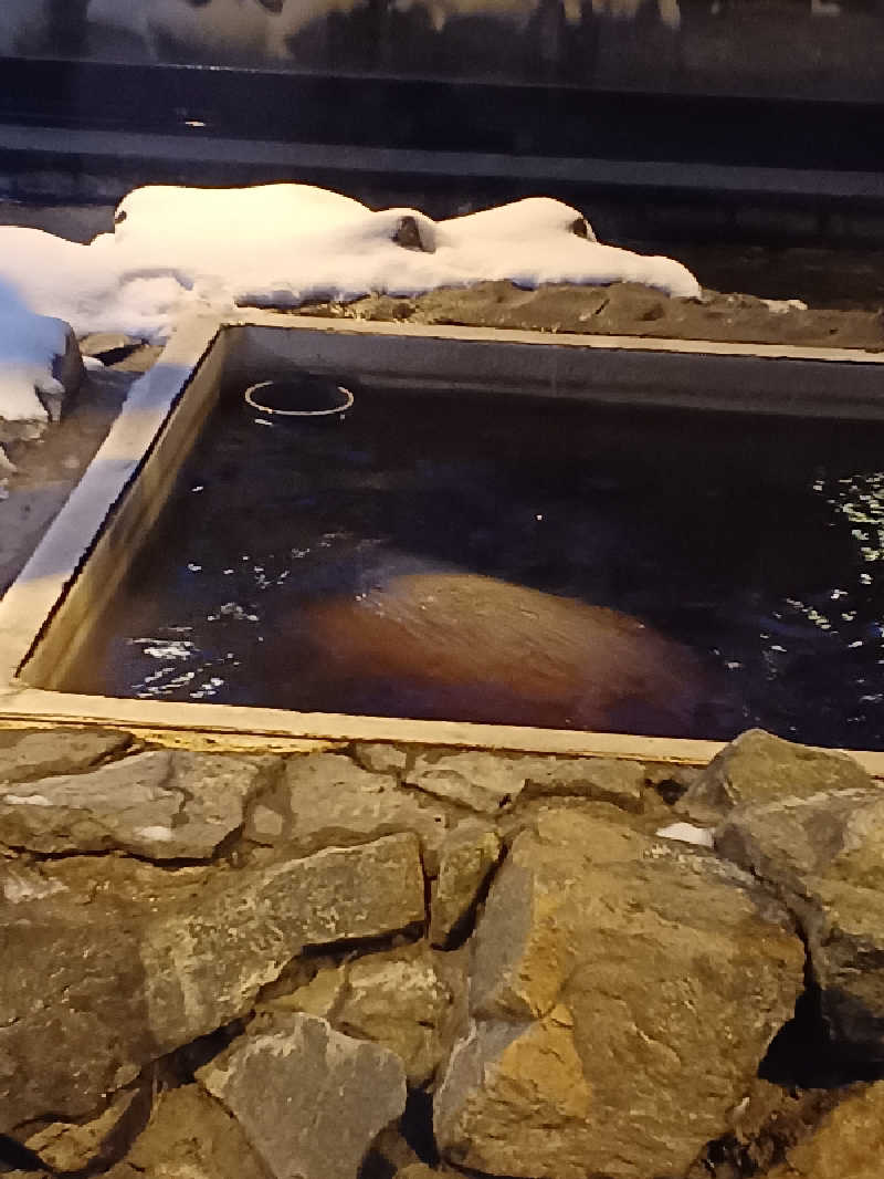 カモミールさんの石狩天然温泉 番屋の湯のサ活写真