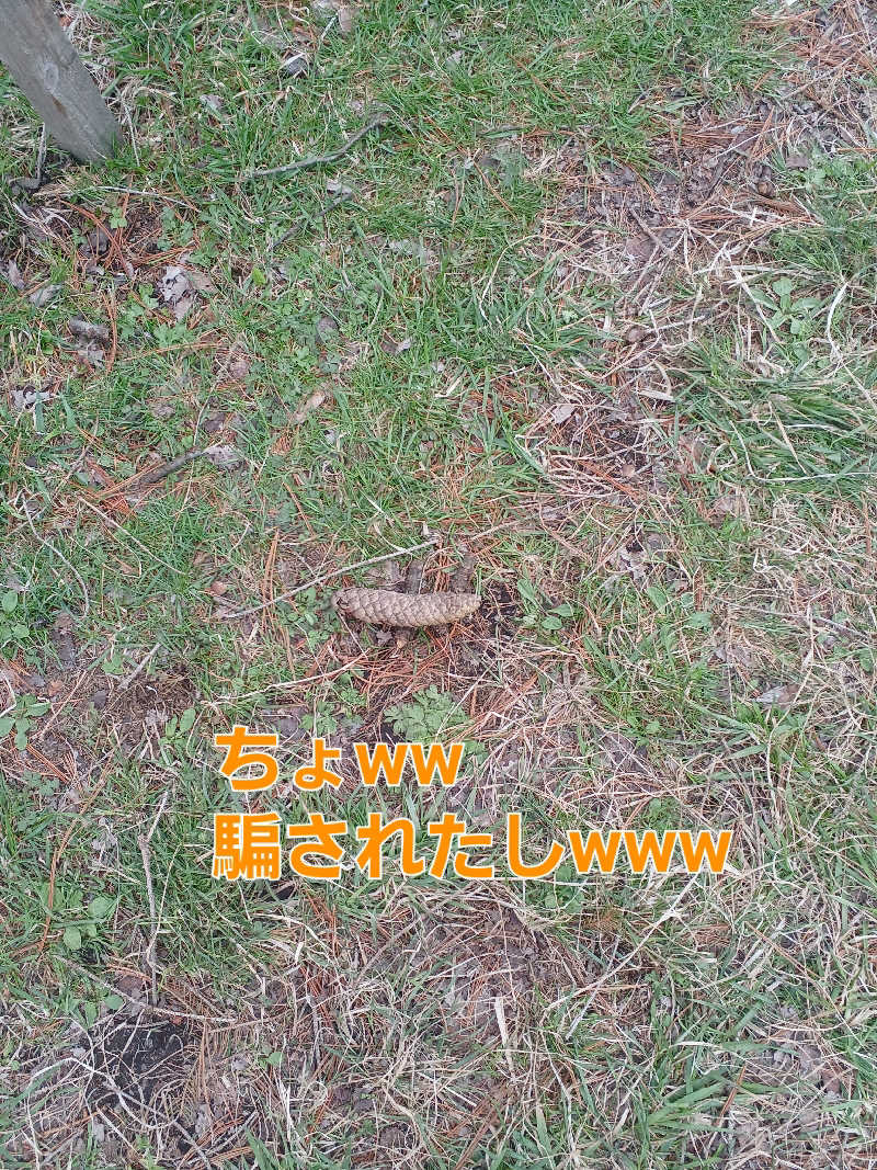 カモミール🦆さんのみついし昆布温泉 蔵三のサ活写真