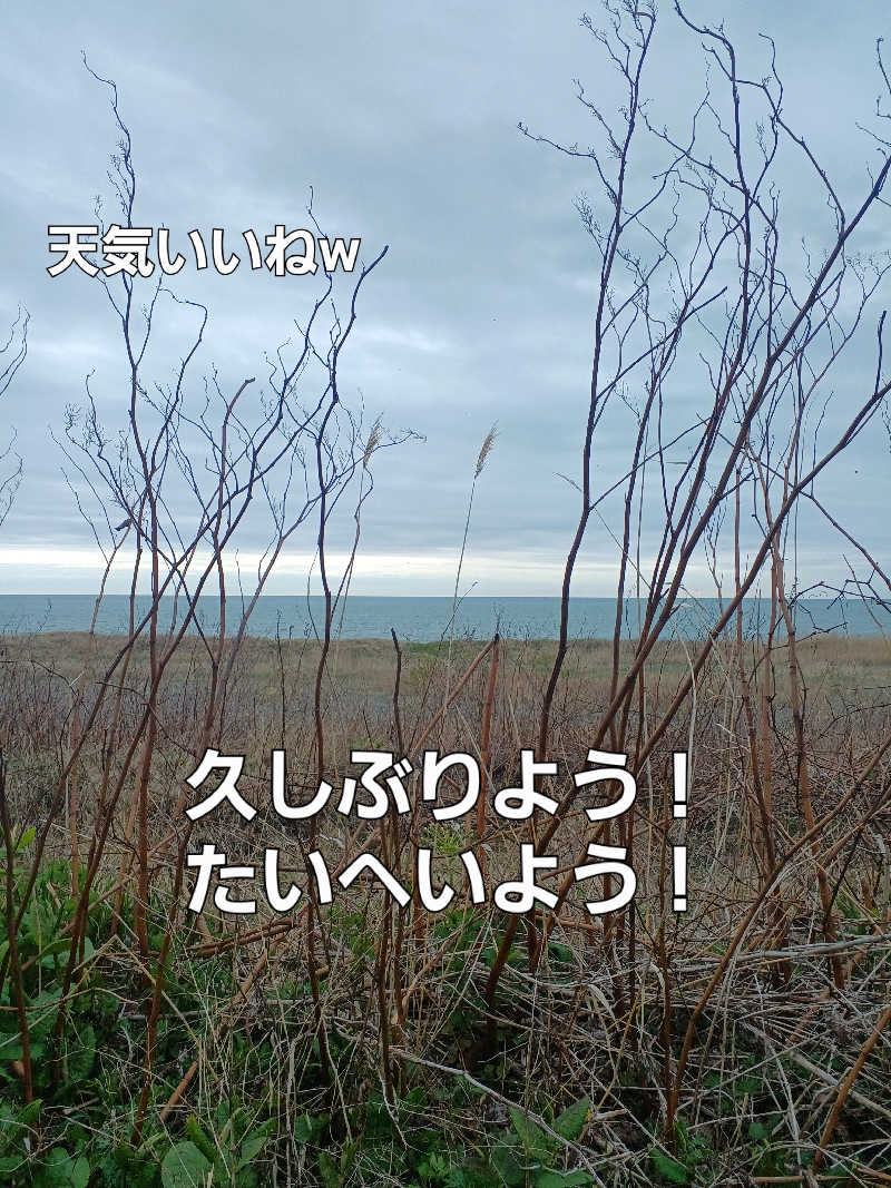 カモミール🦆さんのみついし昆布温泉 蔵三のサ活写真