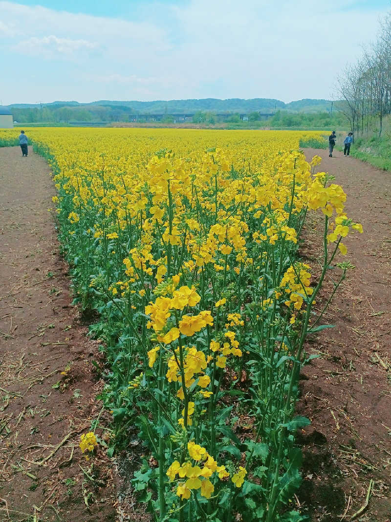 カモミール🦆さんのこぶしの湯 あつまのサ活写真