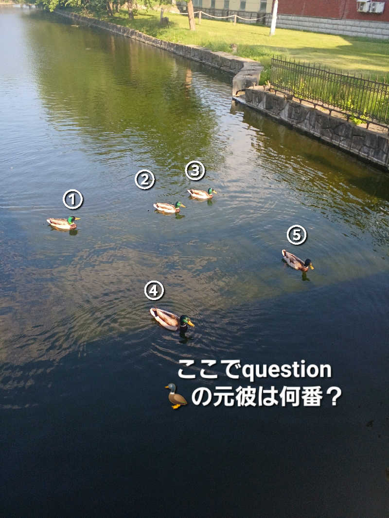 カモミール🦆さんの札内ガーデン温泉のサ活写真