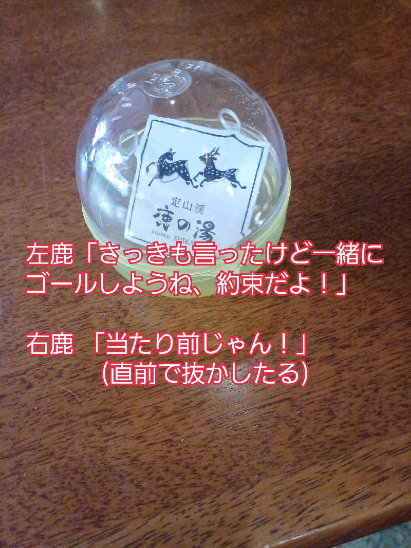 カモミール🦆さんの定山渓 鹿の湯のサ活写真