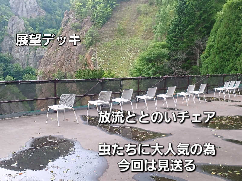 カモミール🦆さんの定山渓 鹿の湯のサ活写真