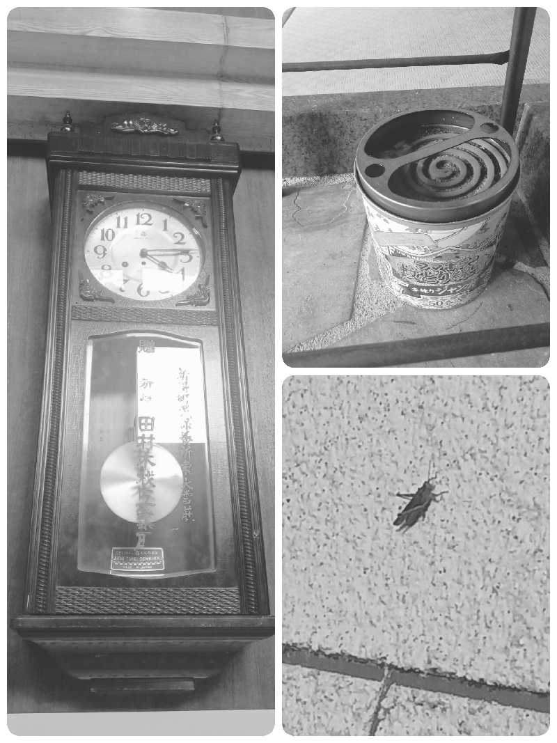 カモミール🦆さんのトムラウシ温泉 東大雪荘のサ活写真