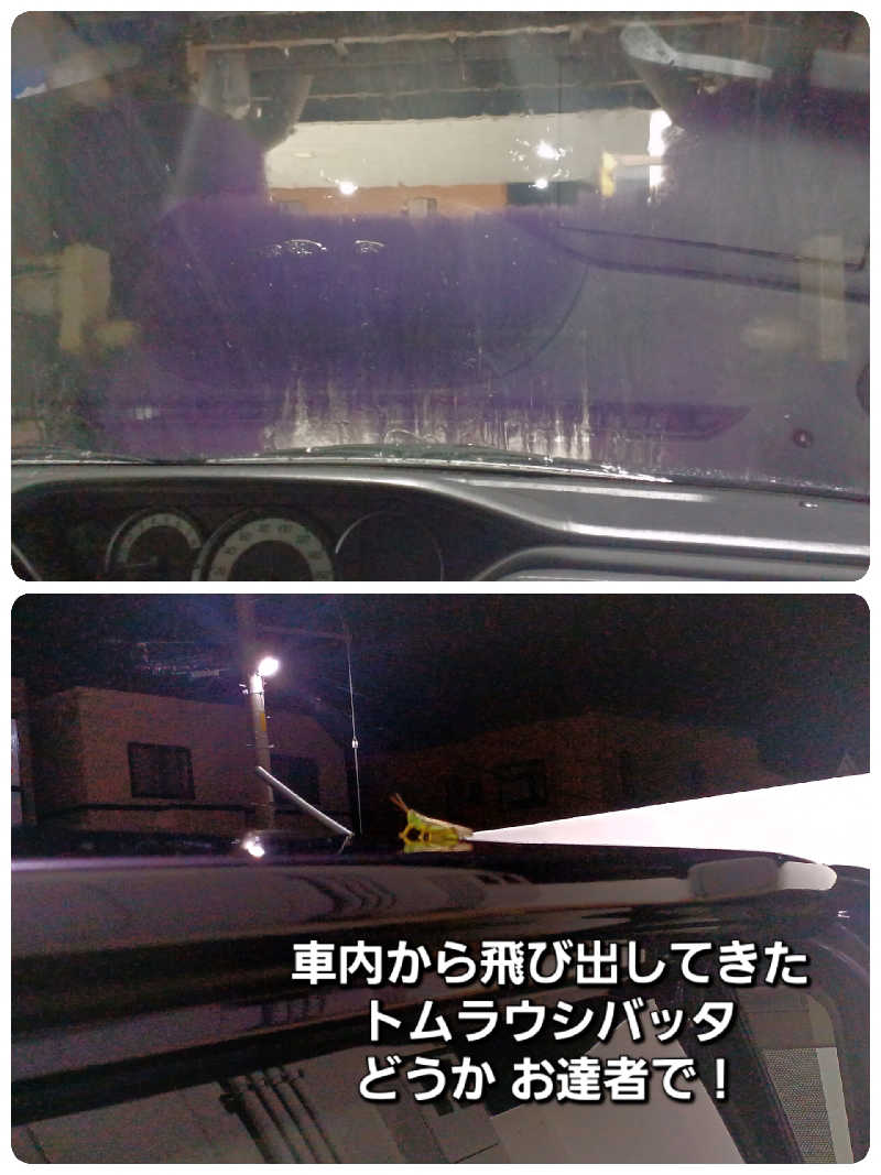 カモミール🦆さんのトムラウシ温泉 東大雪荘のサ活写真