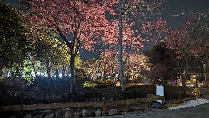 TATTUNさんのよみうりランド眺望温泉 花景の湯のサ活写真