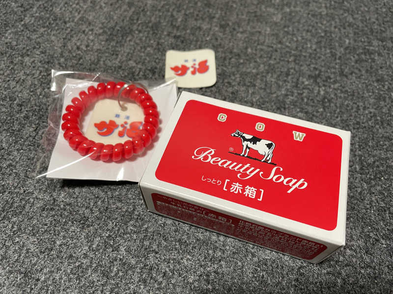 100℃でとけたいチョコモナカさんの改良湯のサ活写真