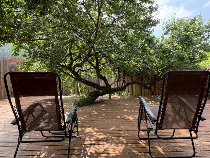 まいちぃさんのサウナの森 水沼ヴィレッジのサ活写真