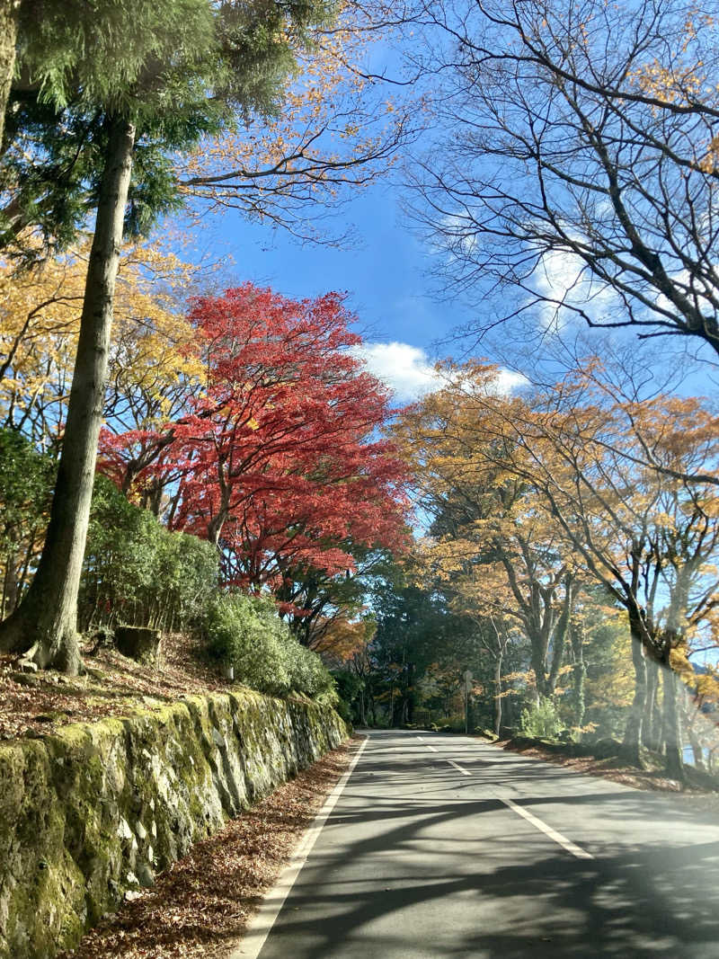 アル宙さんの箱根 絶景日帰り温泉 龍宮殿本館のサ活写真