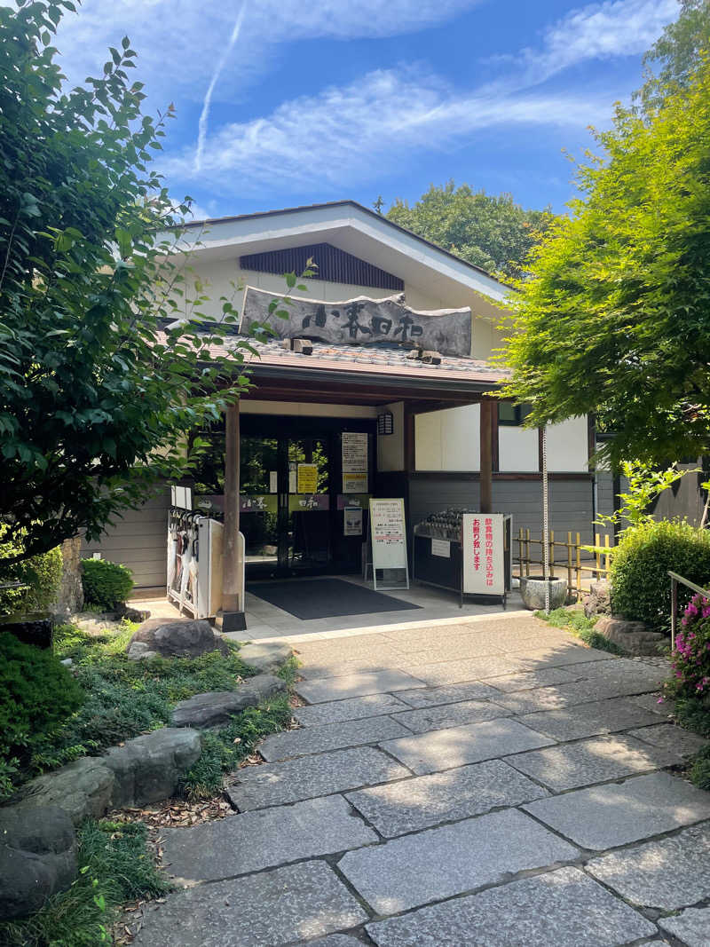 chayさんの見沼天然温泉 小春日和のサ活写真