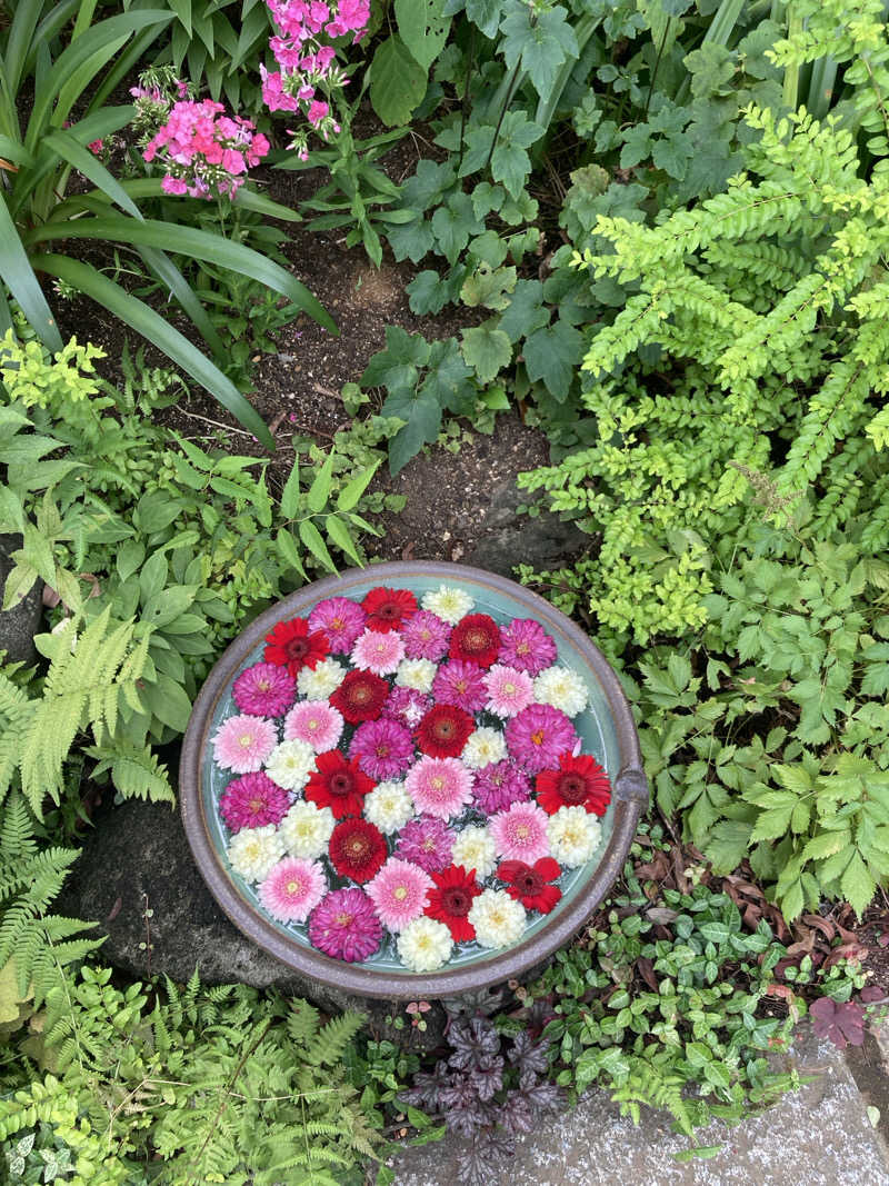 みすた(。-｀ω´-)さんのよみうりランド眺望温泉 花景の湯のサ活写真