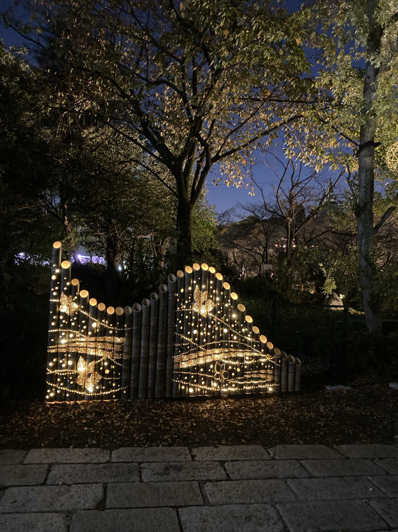 みすた(。-｀ω´-)さんのよみうりランド眺望温泉 花景の湯のサ活写真