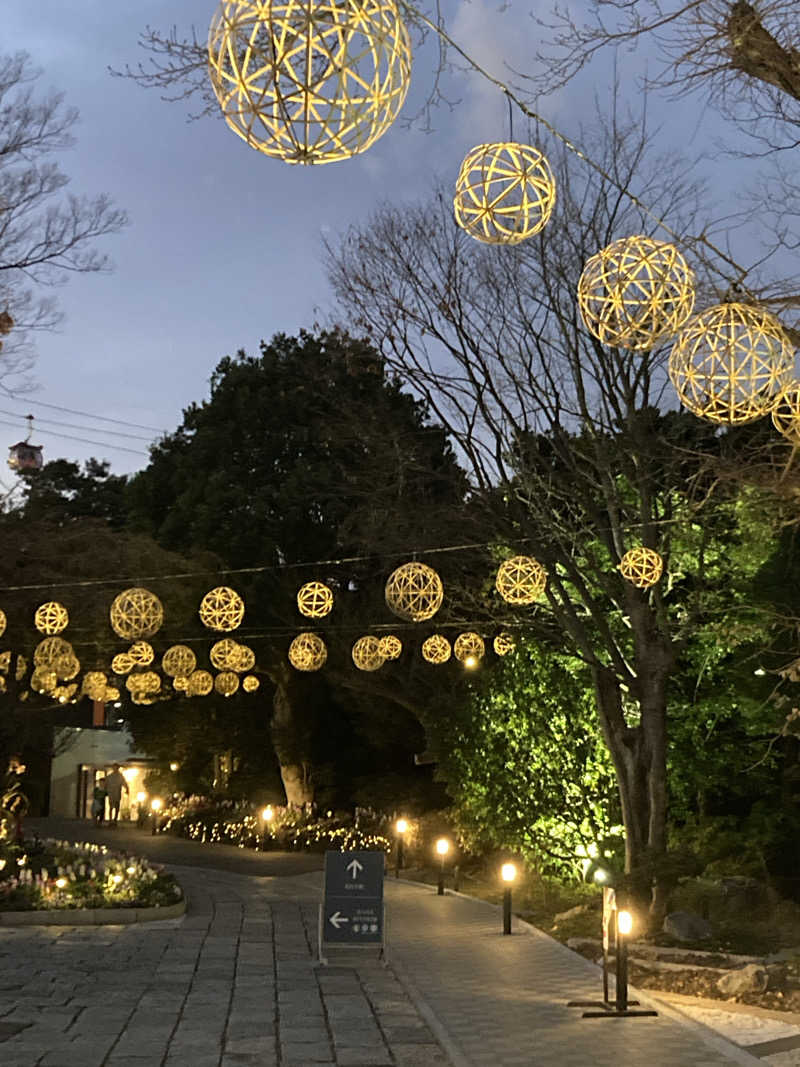 みすた(。-｀ω´-)さんのよみうりランド眺望温泉 花景の湯のサ活写真