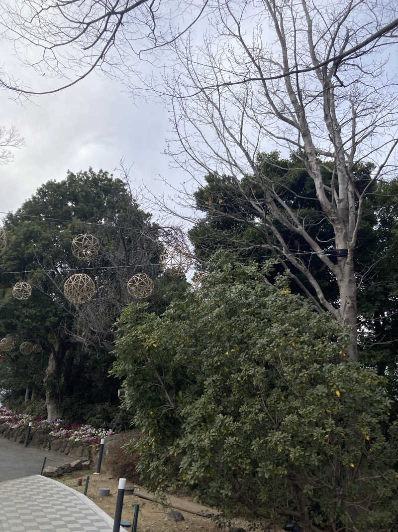 みすた(。-｀ω´-)さんのよみうりランド眺望温泉 花景の湯のサ活写真