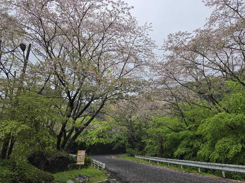 きのPさんのせせらぎの湯 花水木のサ活写真