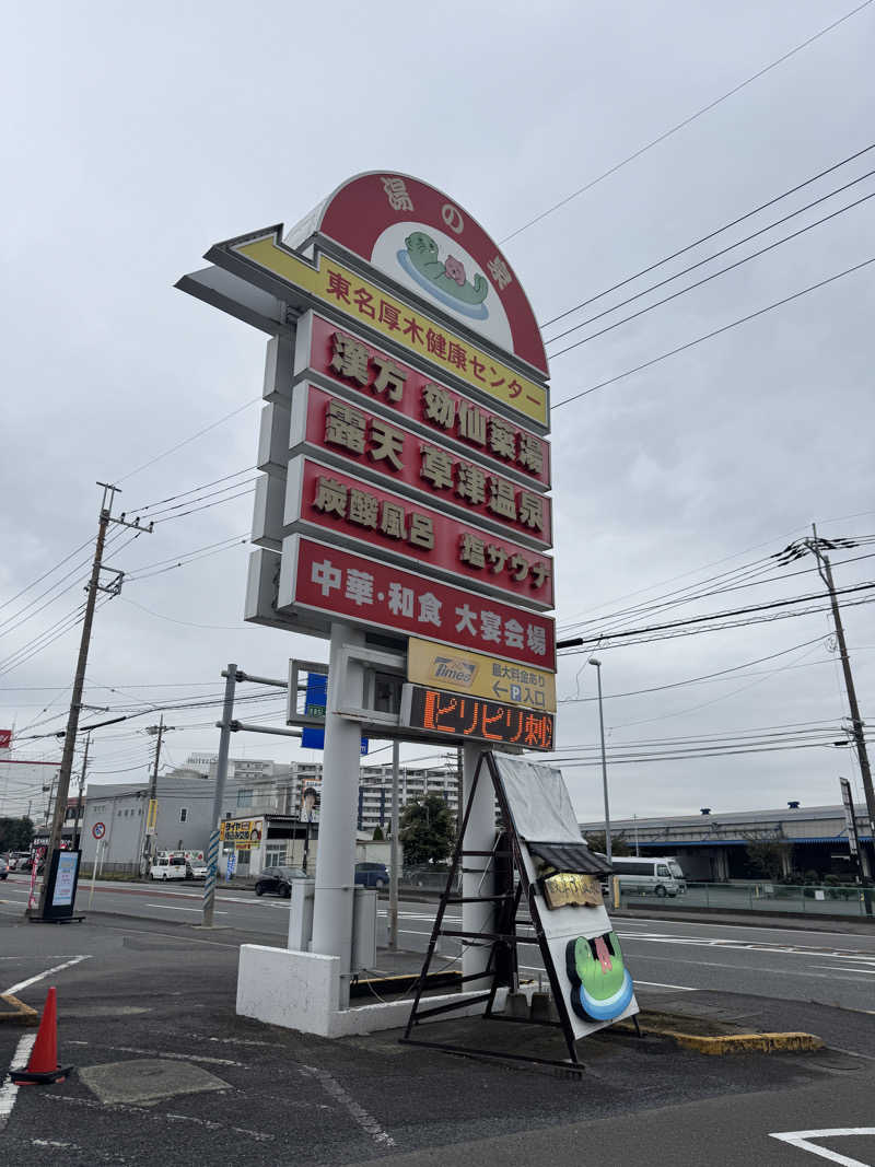 CHANABEさんの湯の泉 東名厚木健康センターのサ活写真