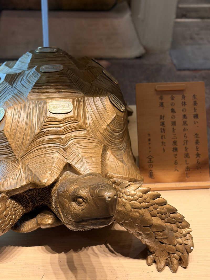せやさんの生姜サウナ 金の亀のサ活写真