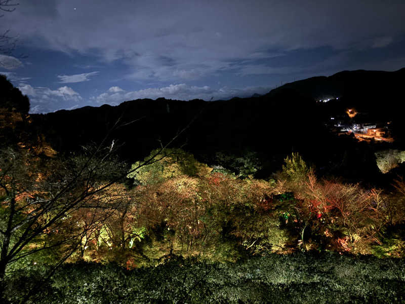 なーさんさんの御船山楽園ホテル  らかんの湯のサ活写真