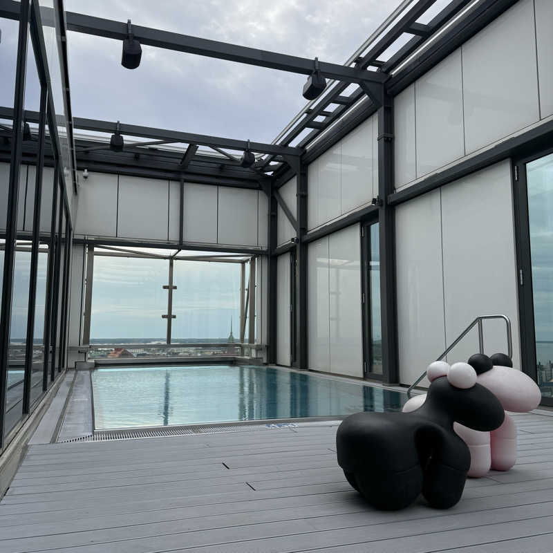 ｻｳﾅﾉｷﾛｸさんのClarion Hotel Helsinki クラリオンホテルのサ活写真