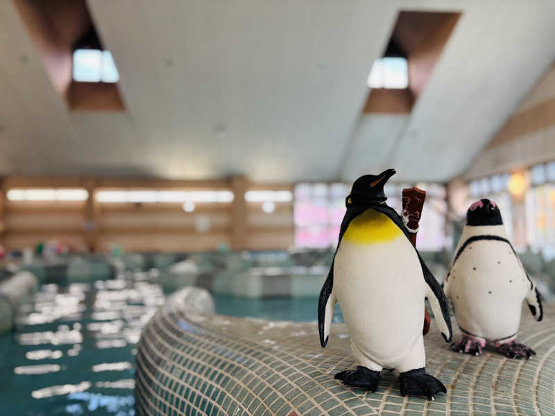 藤井　凪さんの宝泉坊温泉(クアテルメ宝泉坊)のサ活写真