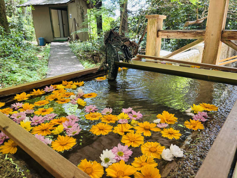 藤井　凪さんの道後さや天然温泉ゆららのサ活写真