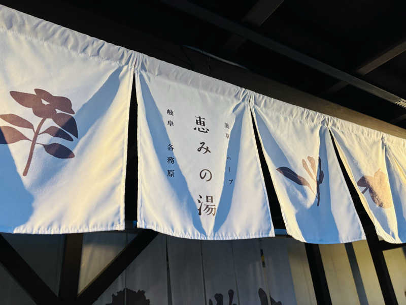 藤井　凪さんの岐阜各務原 恵みの湯のサ活写真