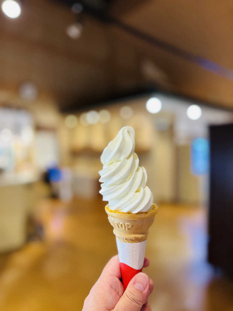 藤井　凪さんの岐阜各務原 恵みの湯のサ活写真