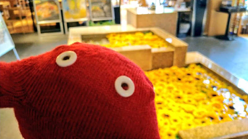 ムラたんさんの綱島源泉 湯けむりの庄のサ活写真