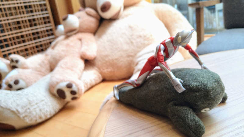 ムラたんさんの綱島源泉 湯けむりの庄のサ活写真