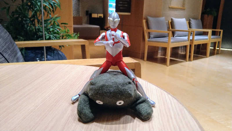 ムラたんさんの綱島源泉 湯けむりの庄のサ活写真