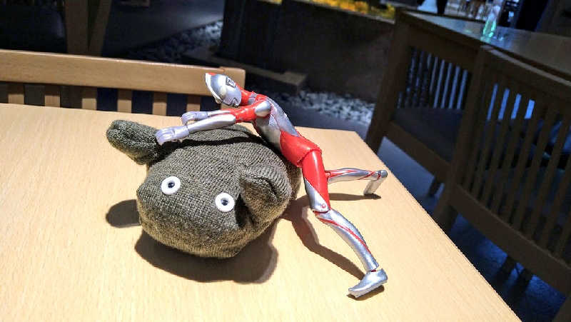 ムラたんさんの綱島源泉 湯けむりの庄のサ活写真