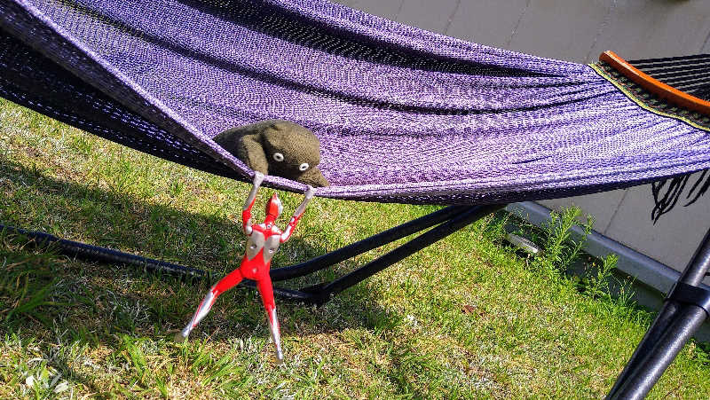 ムラたんさんの綱島源泉 湯けむりの庄のサ活写真