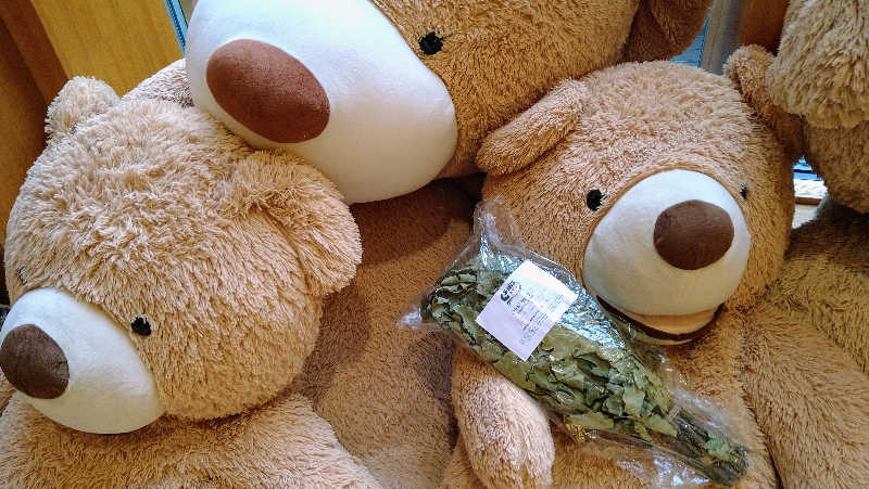 ムラたんさんの綱島源泉 湯けむりの庄のサ活写真