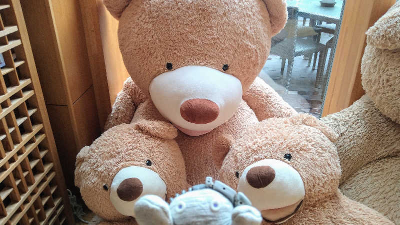 ムラたんさんの綱島源泉 湯けむりの庄のサ活写真