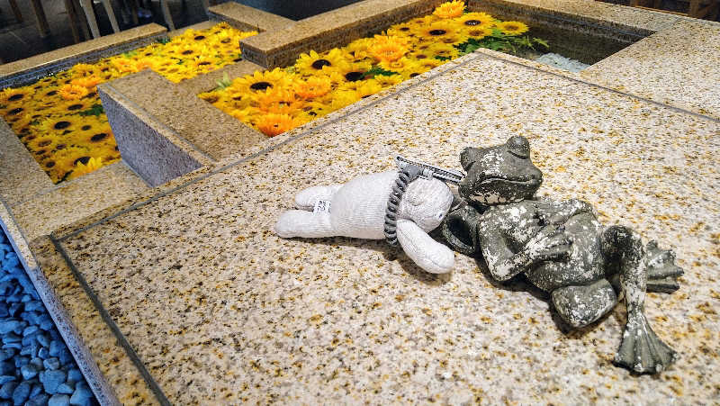 ムラたんさんの綱島源泉 湯けむりの庄のサ活写真