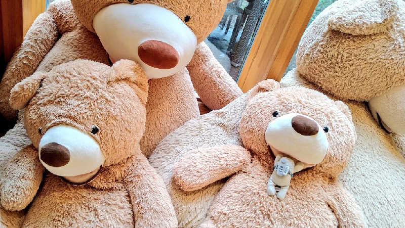 ムラたんさんの綱島源泉 湯けむりの庄のサ活写真