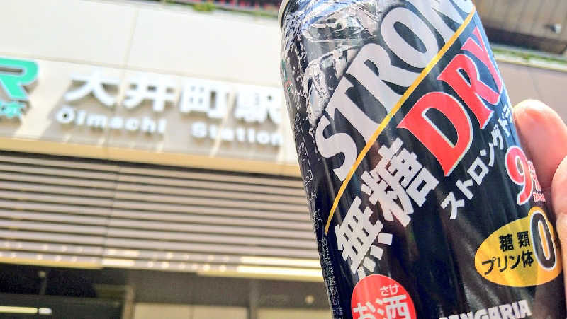 ムラたんさんの綱島源泉 湯けむりの庄のサ活写真